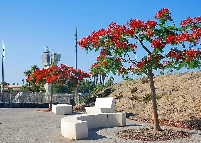Guayota Costa del Silencio
