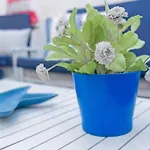 Guayota Apartamento