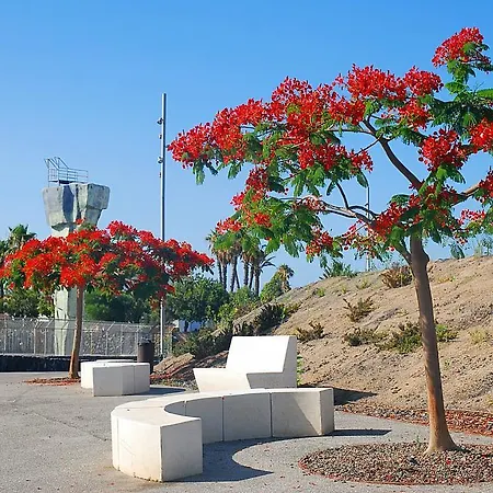 Guayota 德尔锡伦西奥海岸